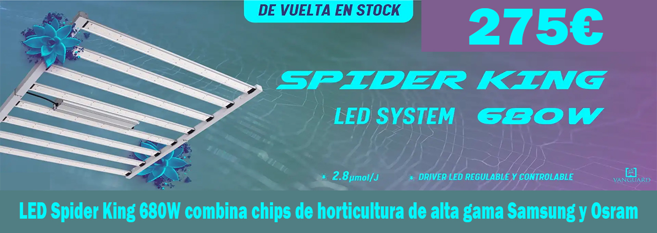 Sistema LED Spider King